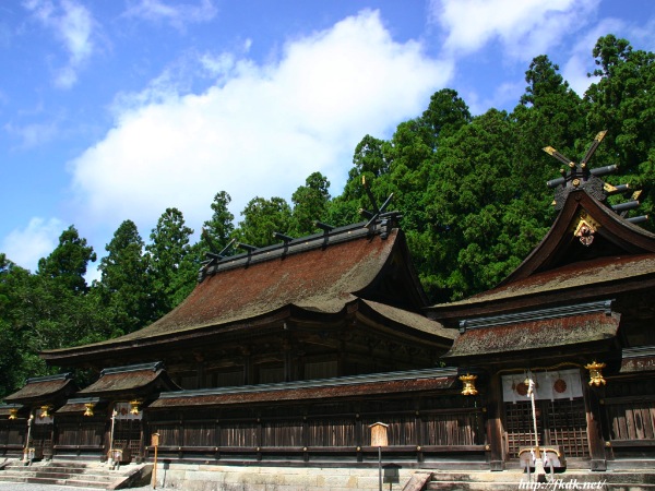 fransisca gallery